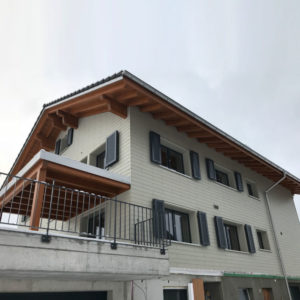 Read more about the article Aluminiumklappläden in Rothenthurm